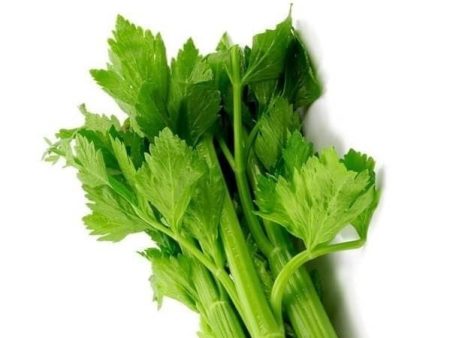 Kereviz Yaprağı