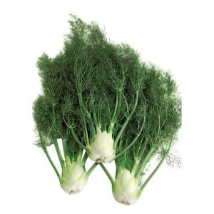 Rezene