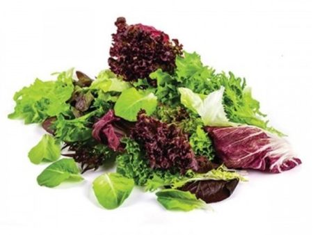 Salata Akdeniz Yeşillikleri