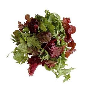 Salata Maskolin