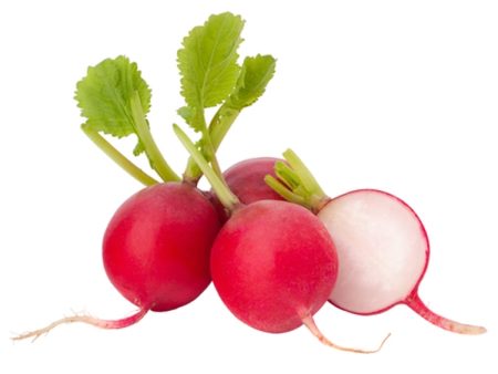 Turp Fındık