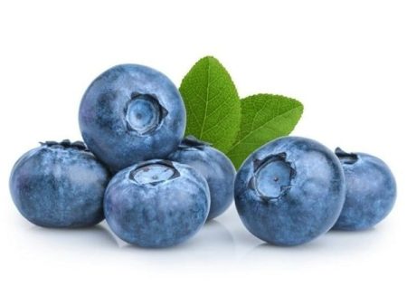 Bluberry Yaban Mersini